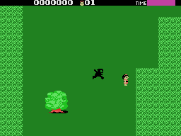 Скриншот игры Ninja Princess